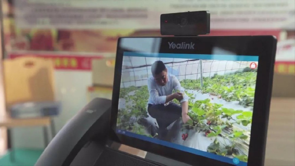 亿联“云+端”视讯助力乡村振兴